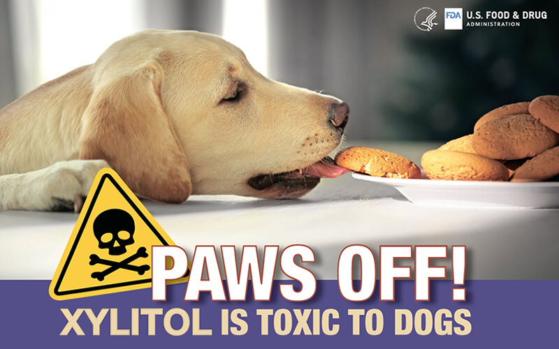 Отравления ксилитом стали настолько частым явлением, что американская организация FDA, аналог нашего Роспотребнадзора, попросила ветеринаров размещать в клиниках специальный предупреждающий плакат. Фото fda.org