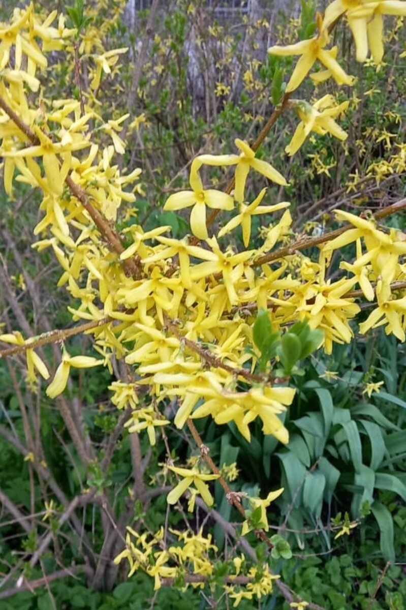 Мы никогда не знаем, где встретим счастье сво