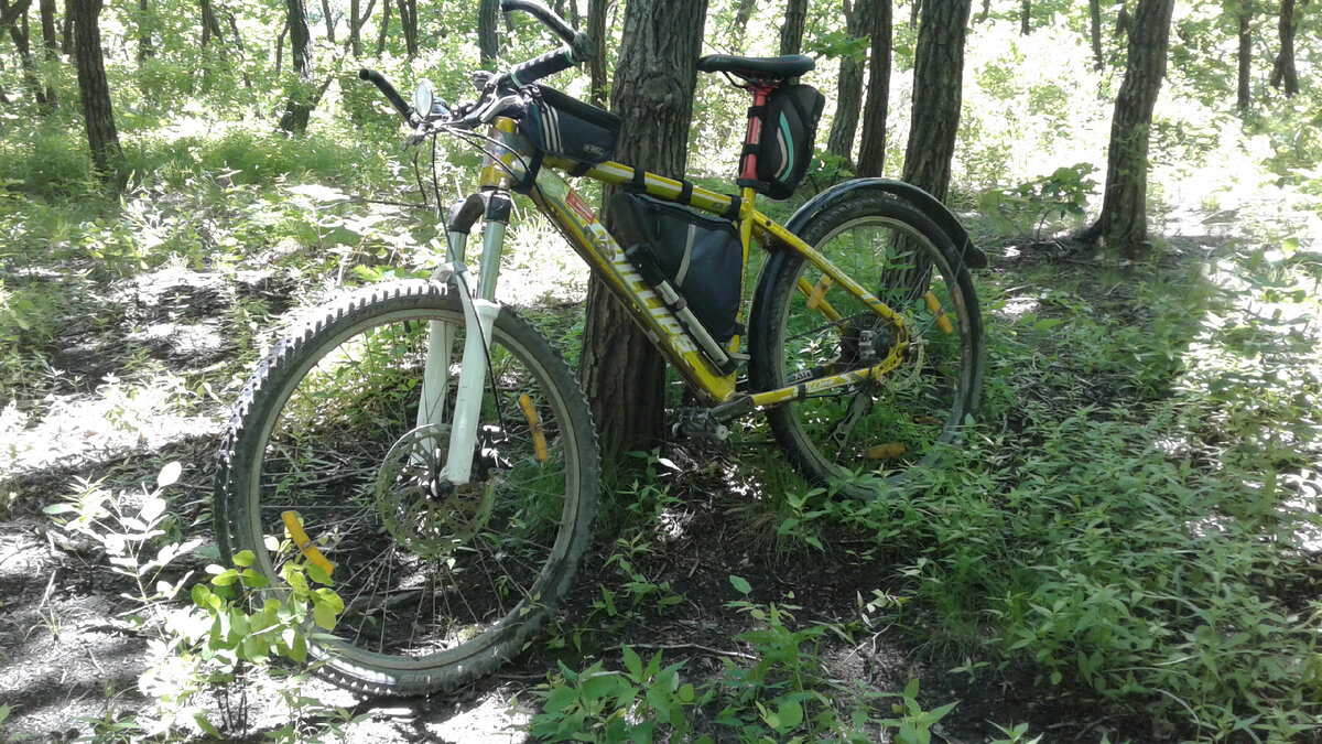 Пока что не буду вас шокировать. Просто посмотрите на мой красивый велосипед