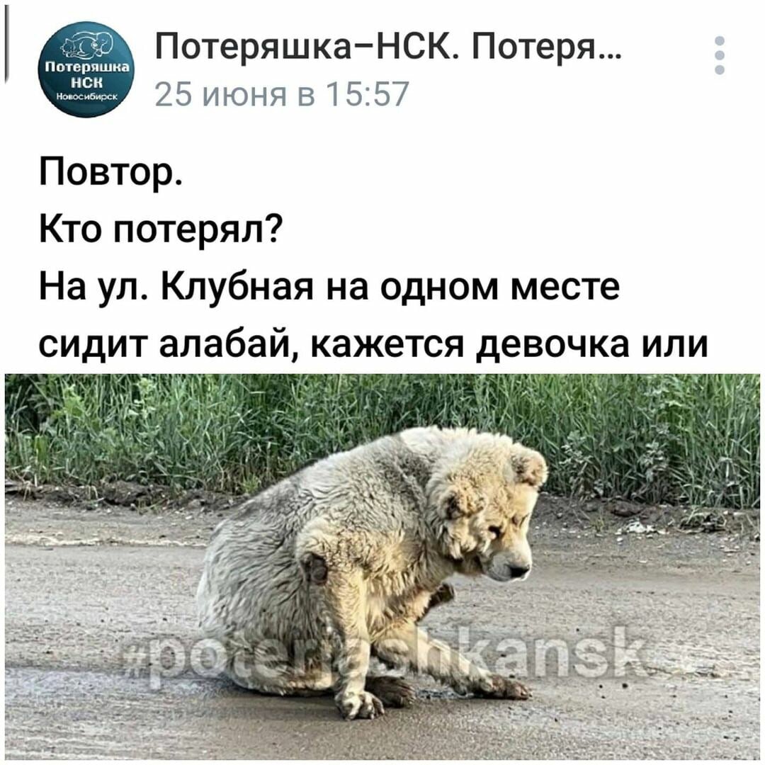 Пост в группе "Потеряшки" 