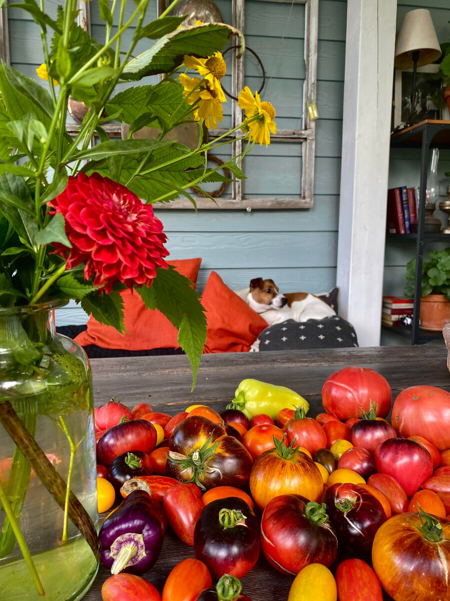 Фото из личного архива @olga_tabu