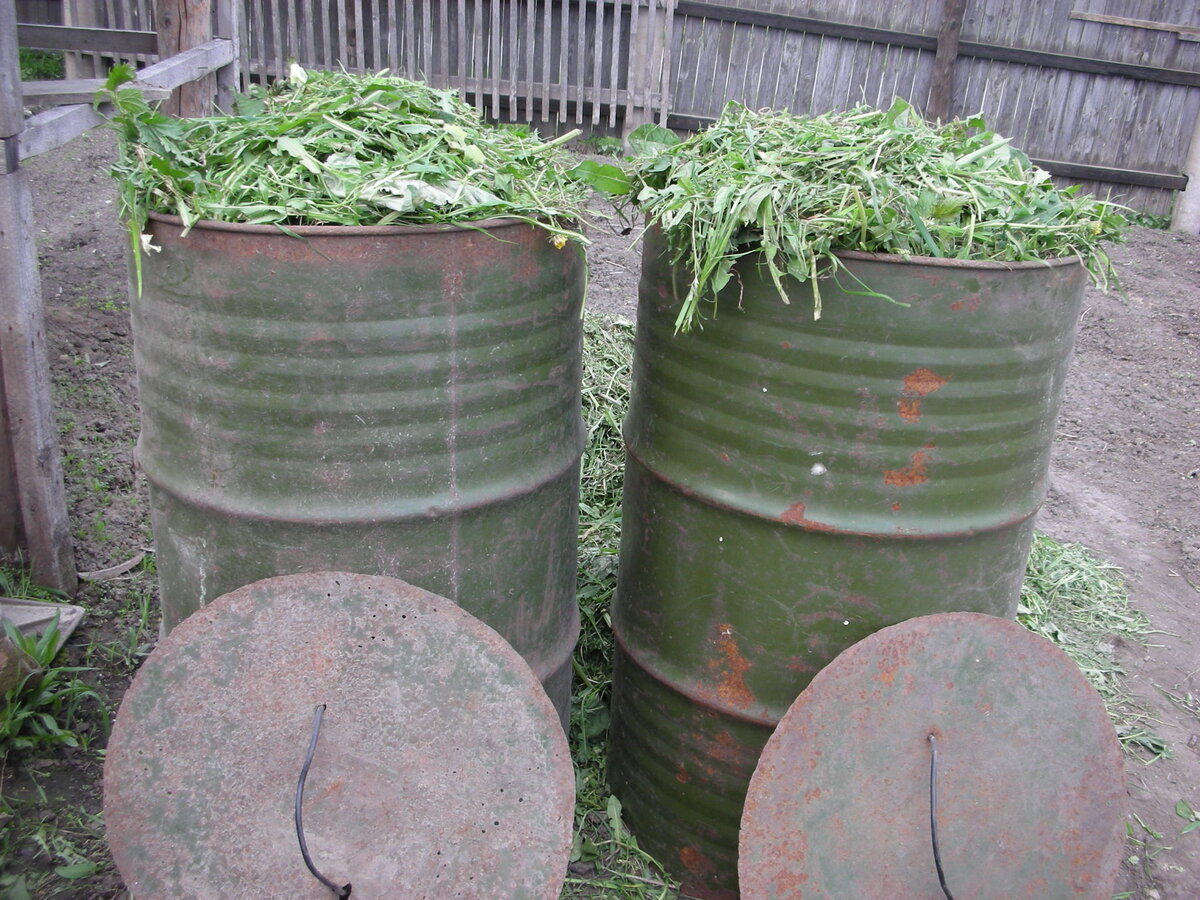 Фото автора статьи