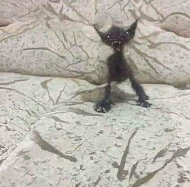 Все картинки взяты из открытых пабликов вк )))