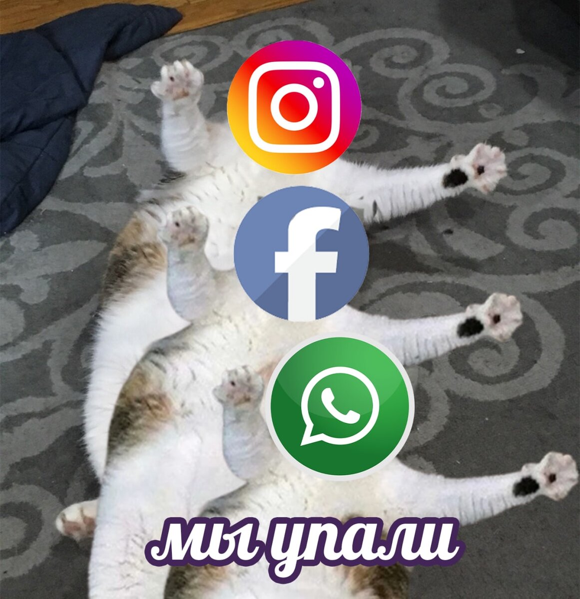 Источник: Лентач