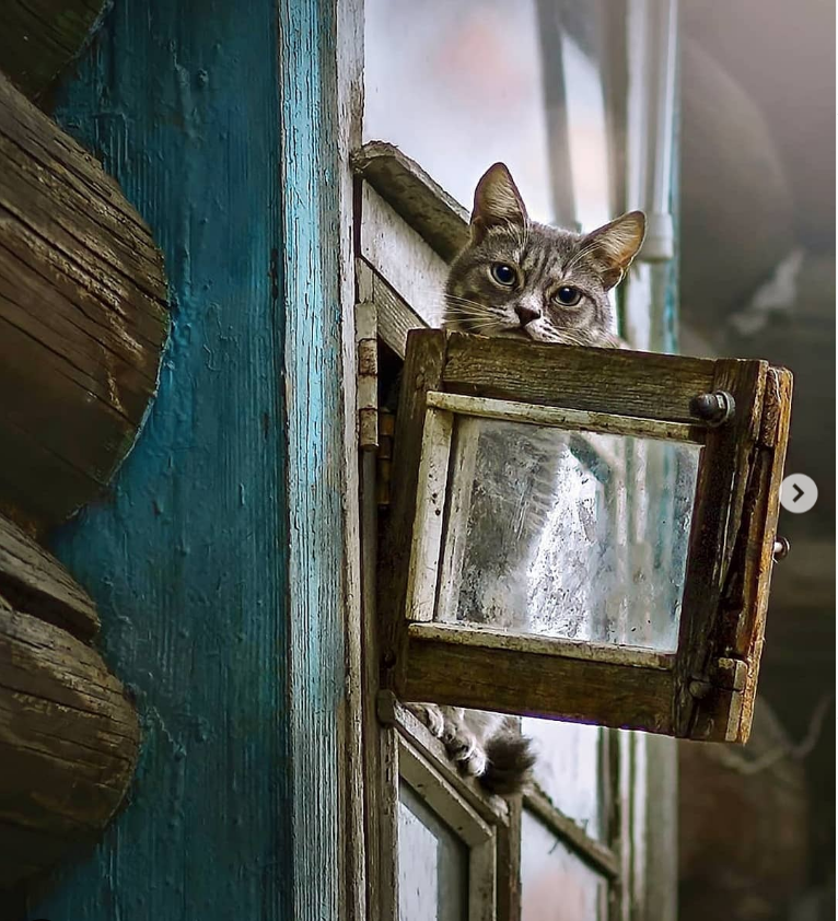Фото Олег Голишников