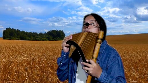 Эквадорский музыкант играет русскую песню. Удивительно, как он прочувствовал и передал русский дух. Конь ~ David Morales