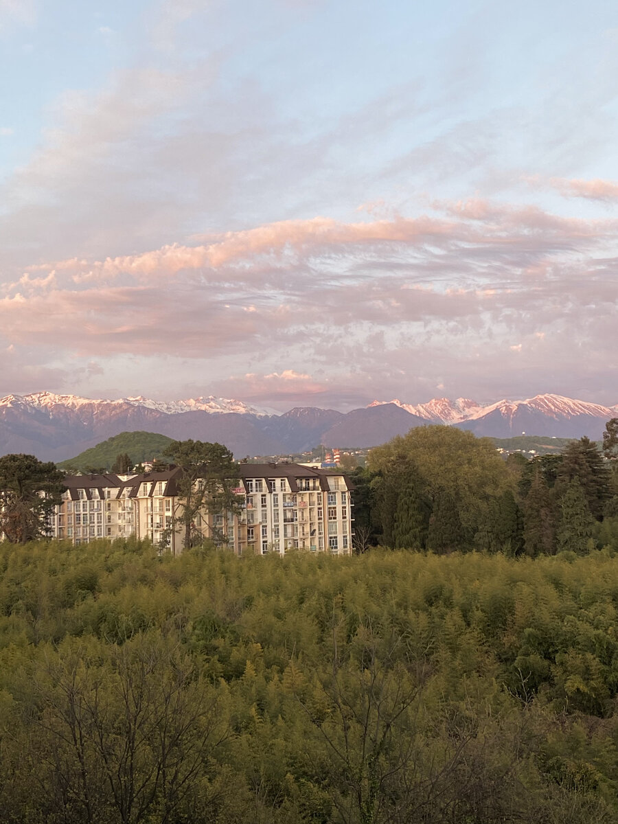 Вид из нашего окна. Самая любимая квартира. 