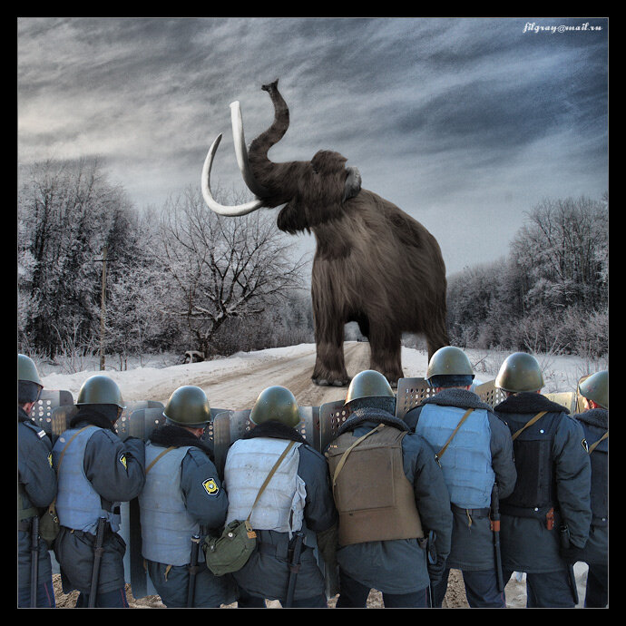 Яндекс картинки