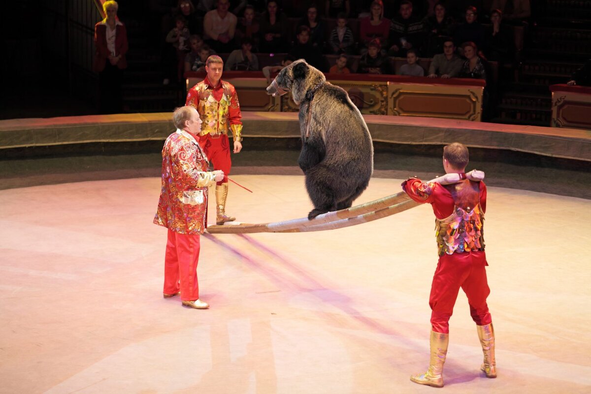 Фото: onegreenplanet.org