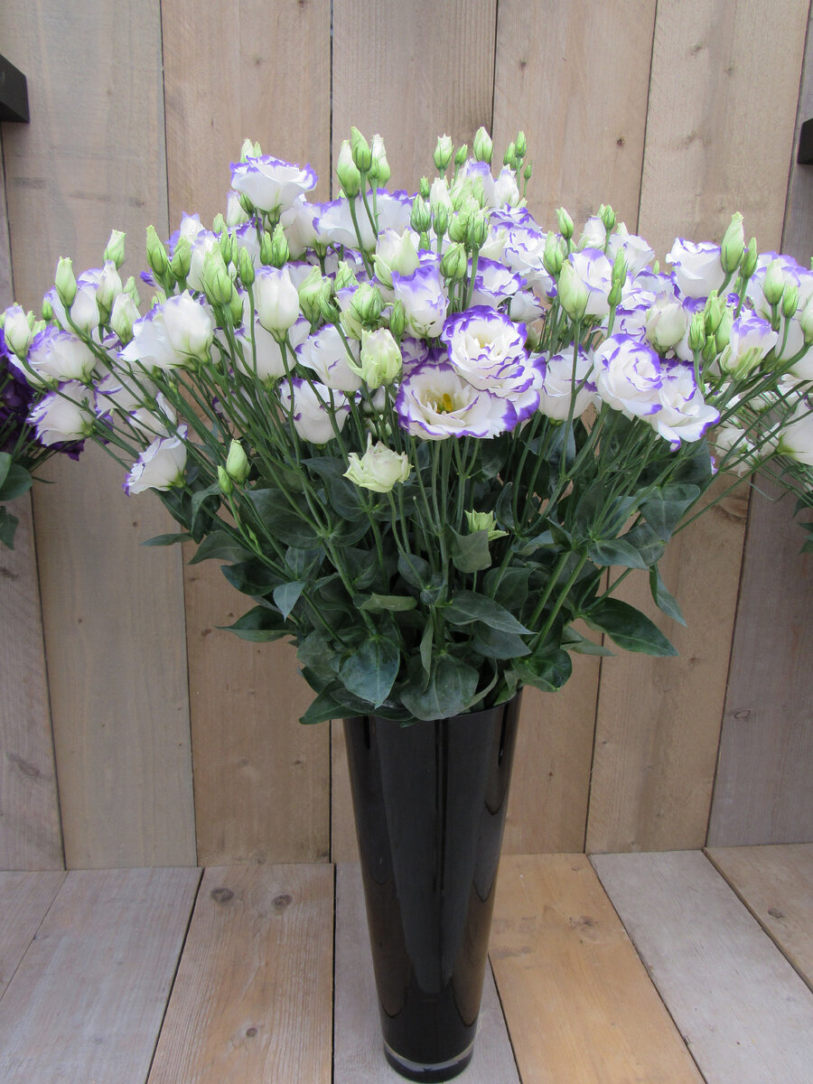 Букет эустомы, авторское фото