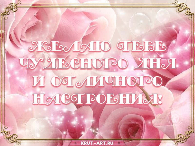 Бесплатная открытка с пожеланиями чудесного дня и отличного настроения друзьям в вотсапе или вайбере.