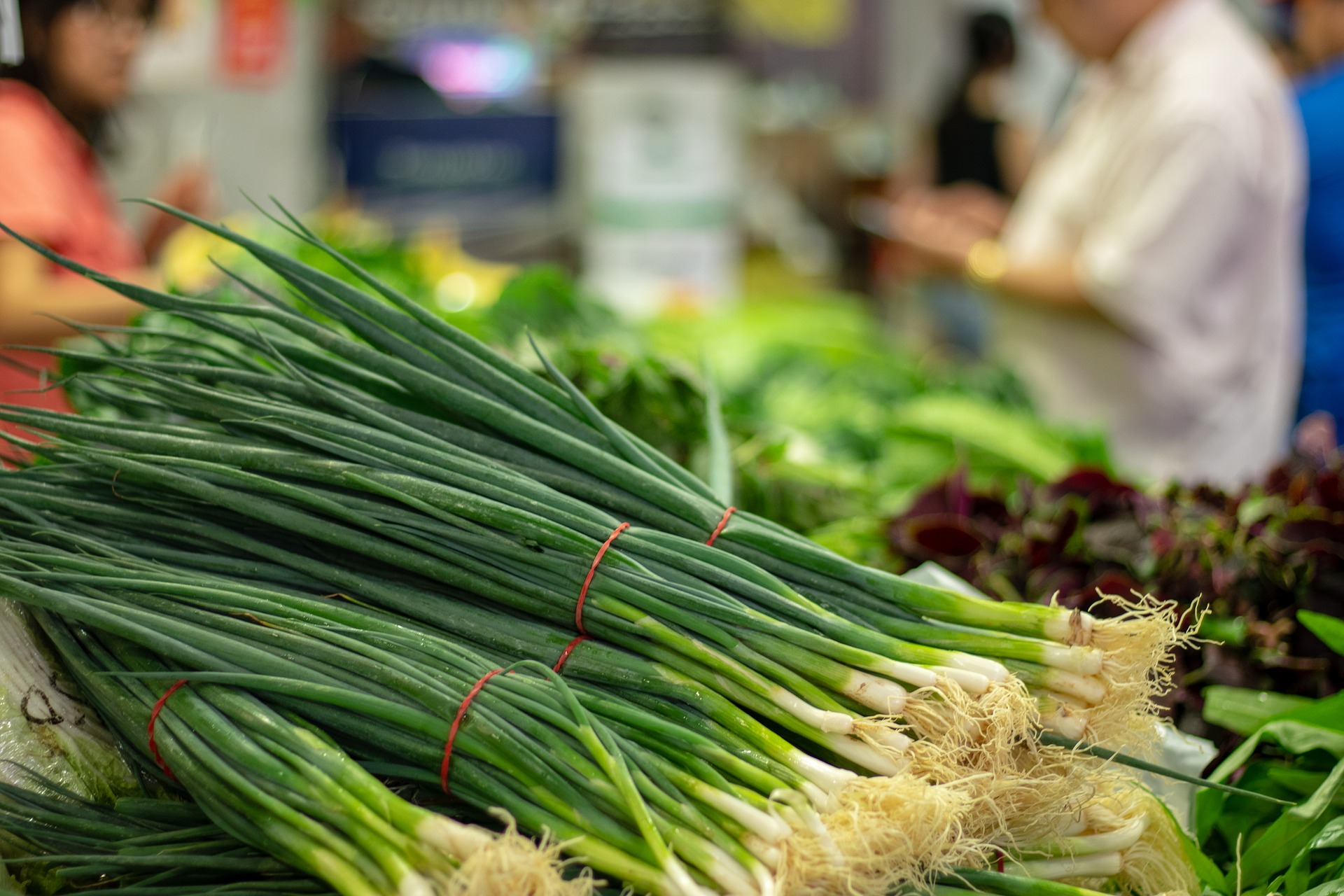 Самый дешевый способ улучшить здоровье мозга — есть правильные продукты. Рассказываю о самых полезных лидерах2
