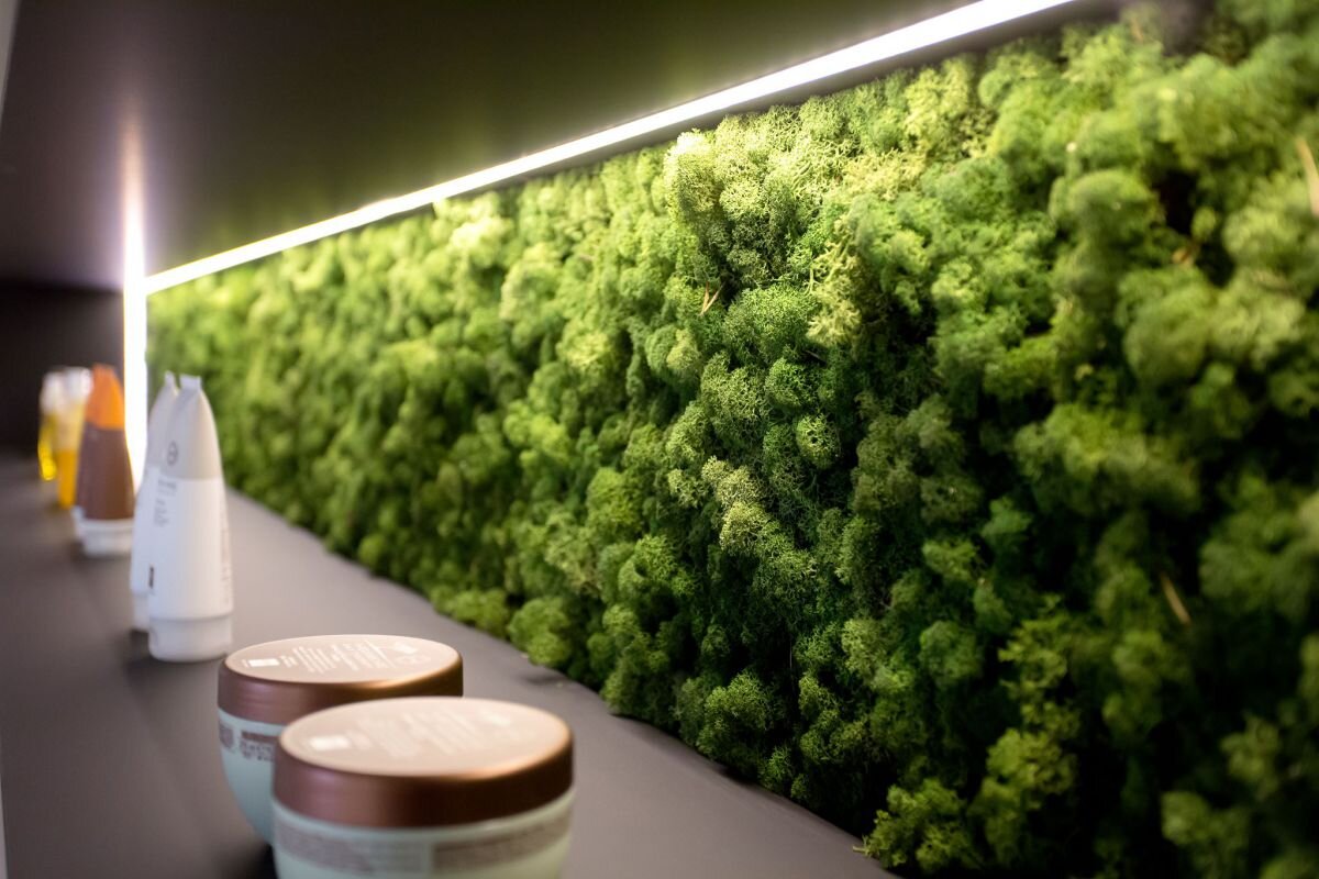 фото из свободных источников