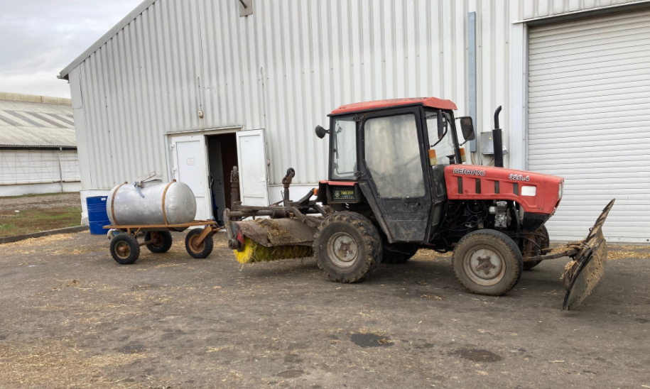 Фото автора. Маленький помощник.