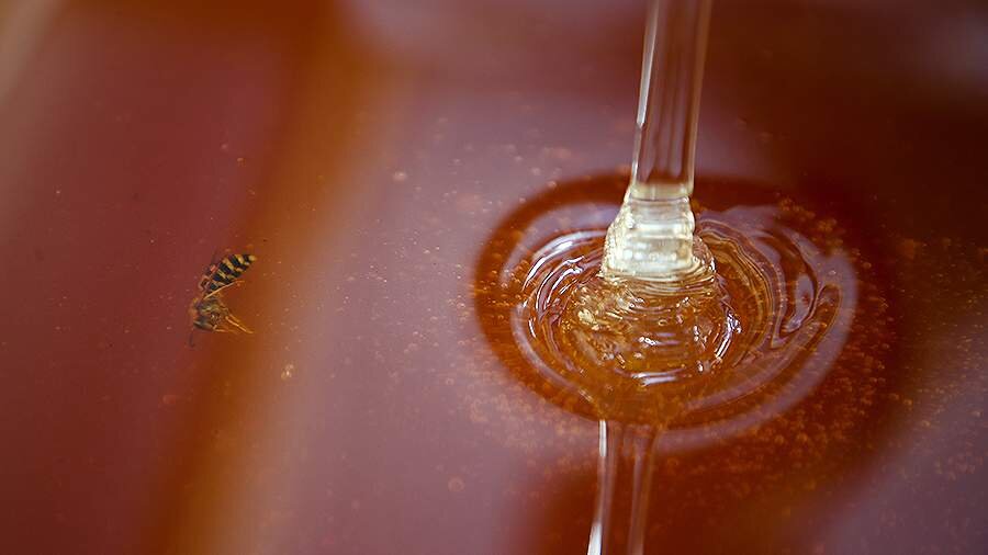 Фото: ТАСС/Антон Новодережкин