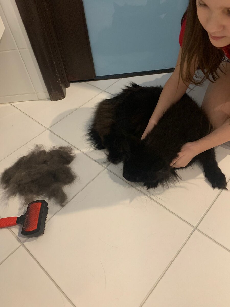 Фото моей сестры