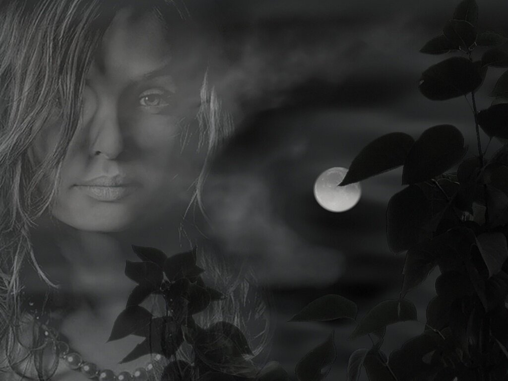 Взято из открытых источников.