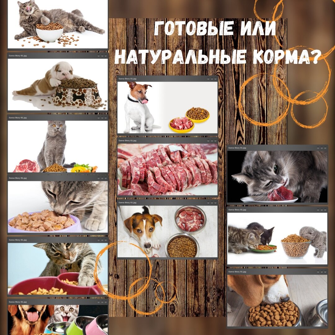 Что лучше давать