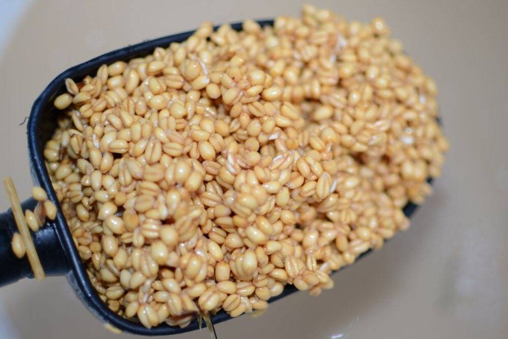 Сколько времени варить пшеницу: подробная информация и рекомендации