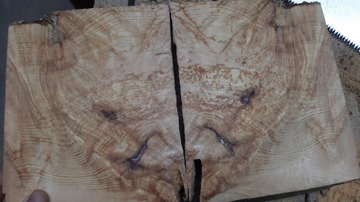 Вот так выглядит кап сосны (распил)