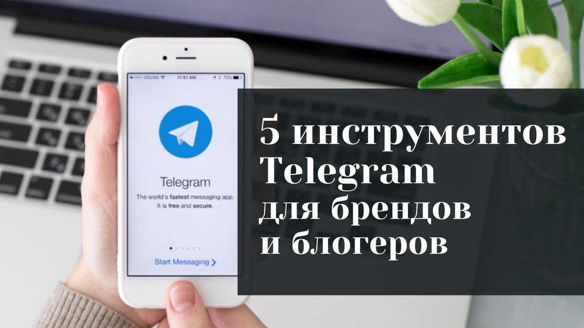 5 полезных инструментов Telegram для брендов и блогеров | Маркетинг в  деталях | Дзен