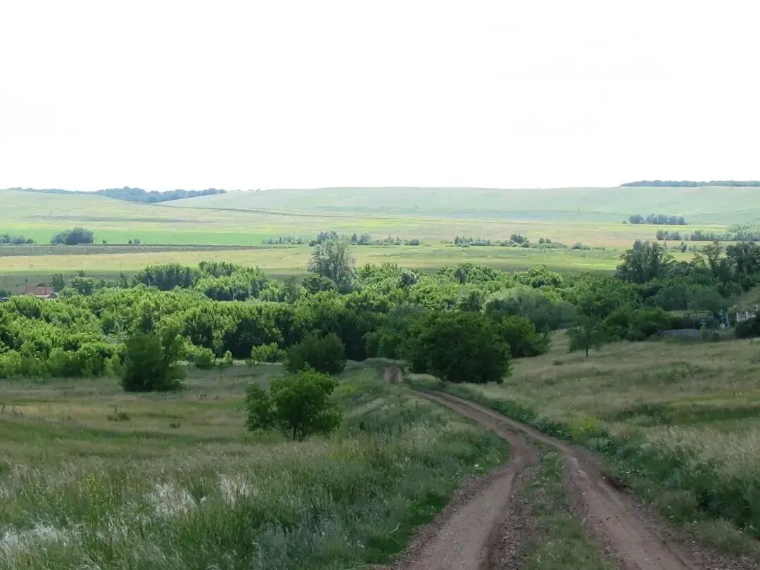 Село каменка. Село Каменка Грачевский район. Днепропетровская обл село Каменка. Деревня Каменка Пензенская область. Деревня Каменка Украина.