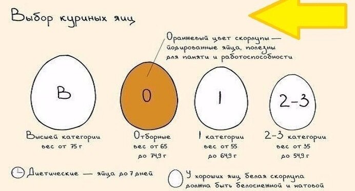 «Духовка в помощь»: 8 советов тем, кого раздражает готовка