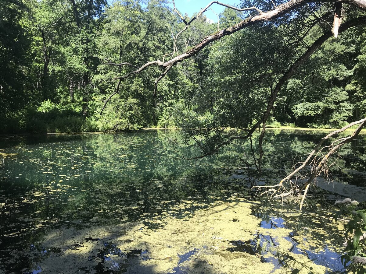 Фото с сайта mojapenza.blogspot.com