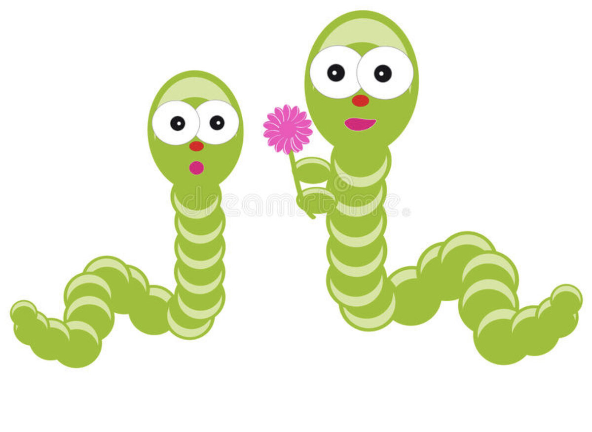 Фото из интернета