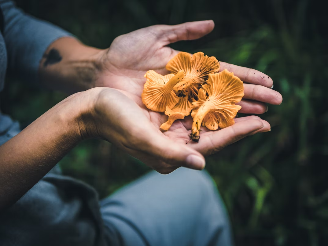 Фото: unsplash