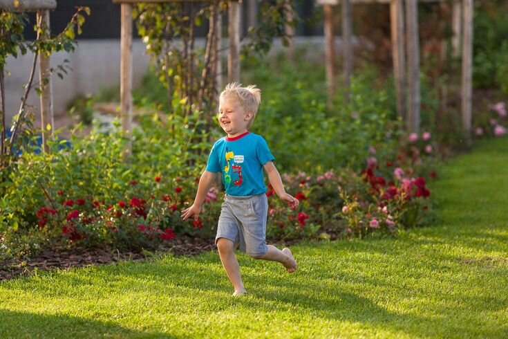 Фото с просторов интернета