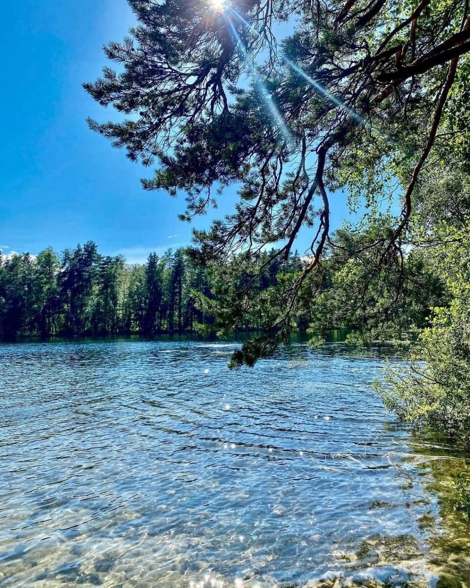 Белянское озеро Ленинградская область