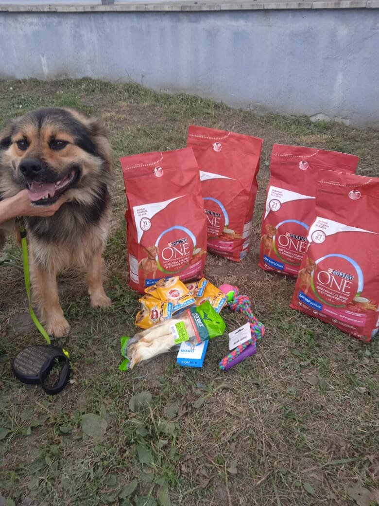 Бимочка тоже был на акции. Дом пока так и не нашелся