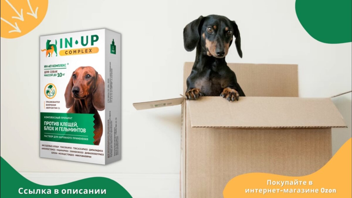 Капли IN-UP complex для собак