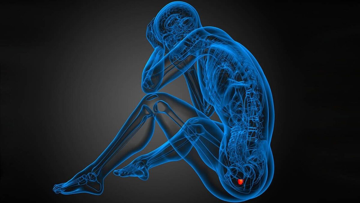 Биопсия предстательной железы: плюсы и минусы исследования | Royal ...
