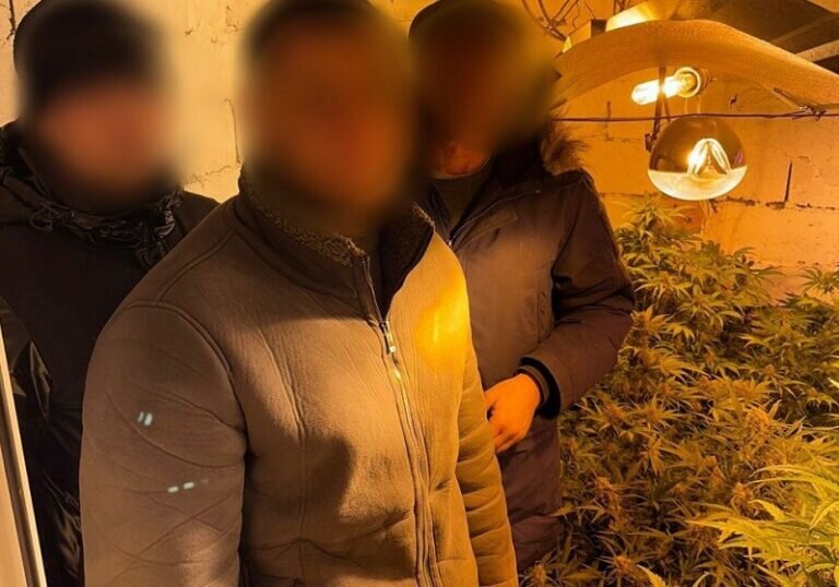    В Оренбурге задержан 49-летний мужчина с крупной партией марихуаны Марина Шарт