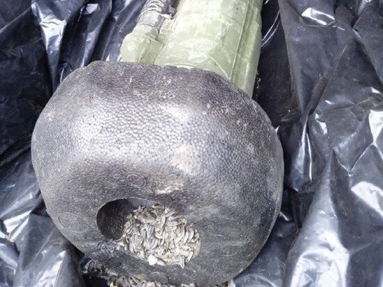     пресс-служба ГУ мвд россии по херсонской области