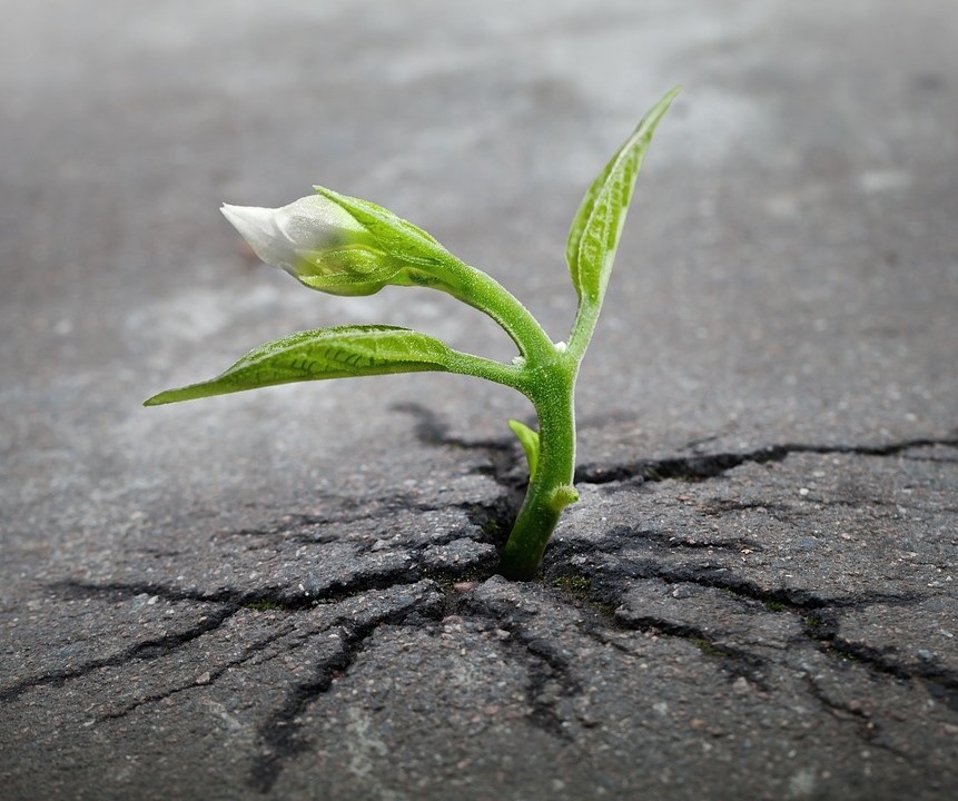 Сила Моя совершается в немощи(2Кор. 12,9)