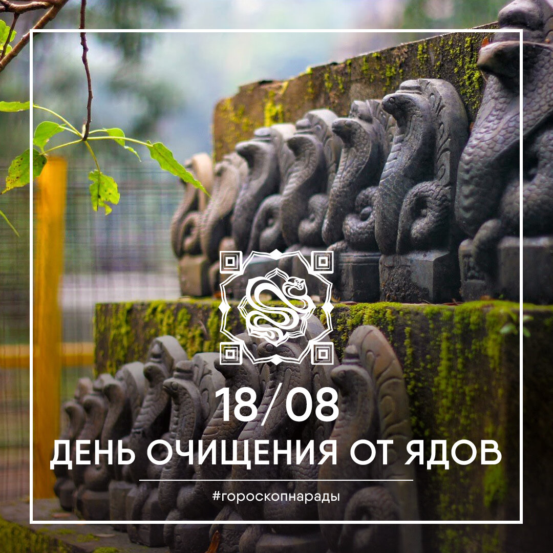 #ведический гороскоп на сегодня #энергия дня #гороскоп на каждый день