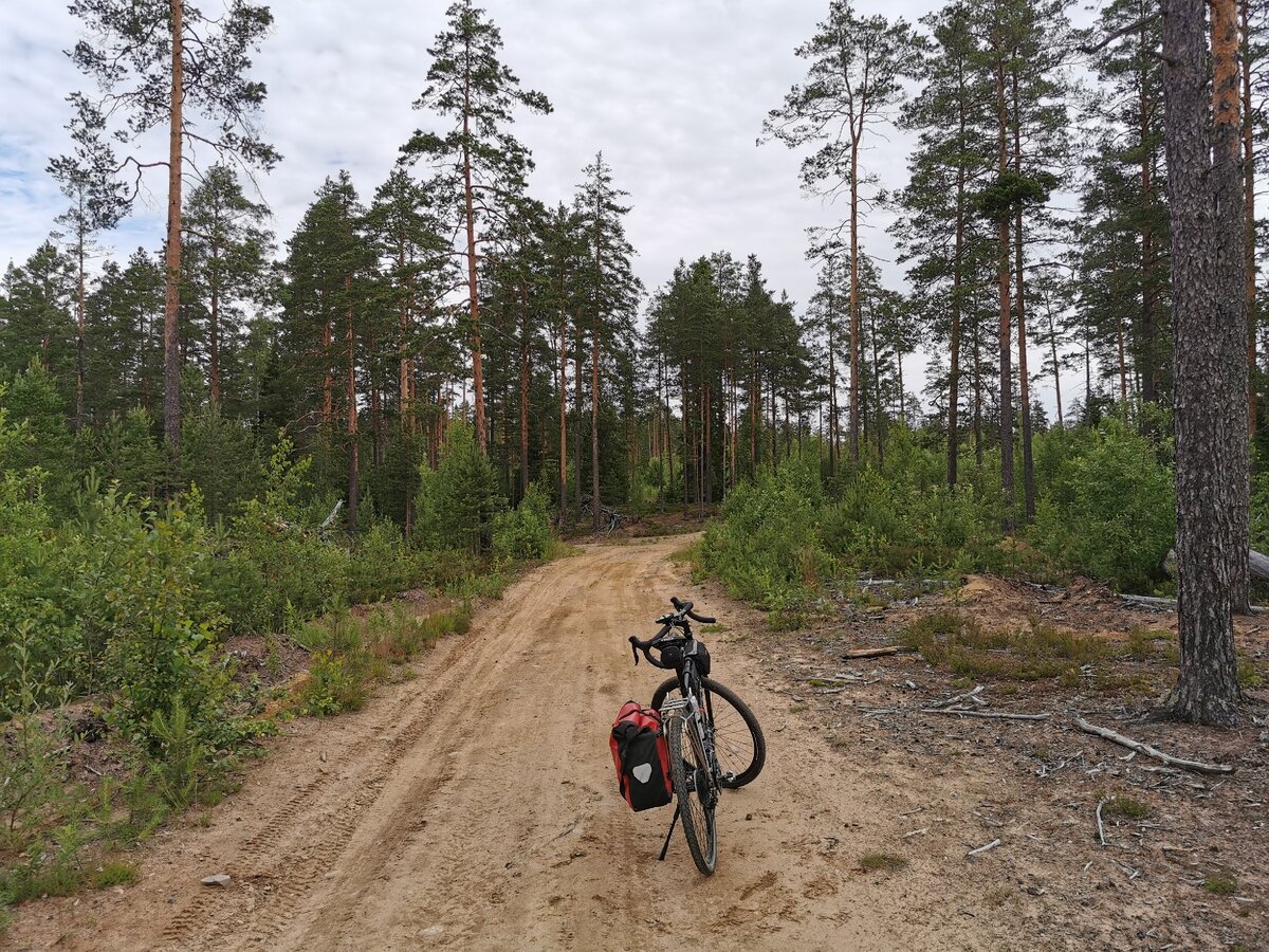 Дорога после Сосново