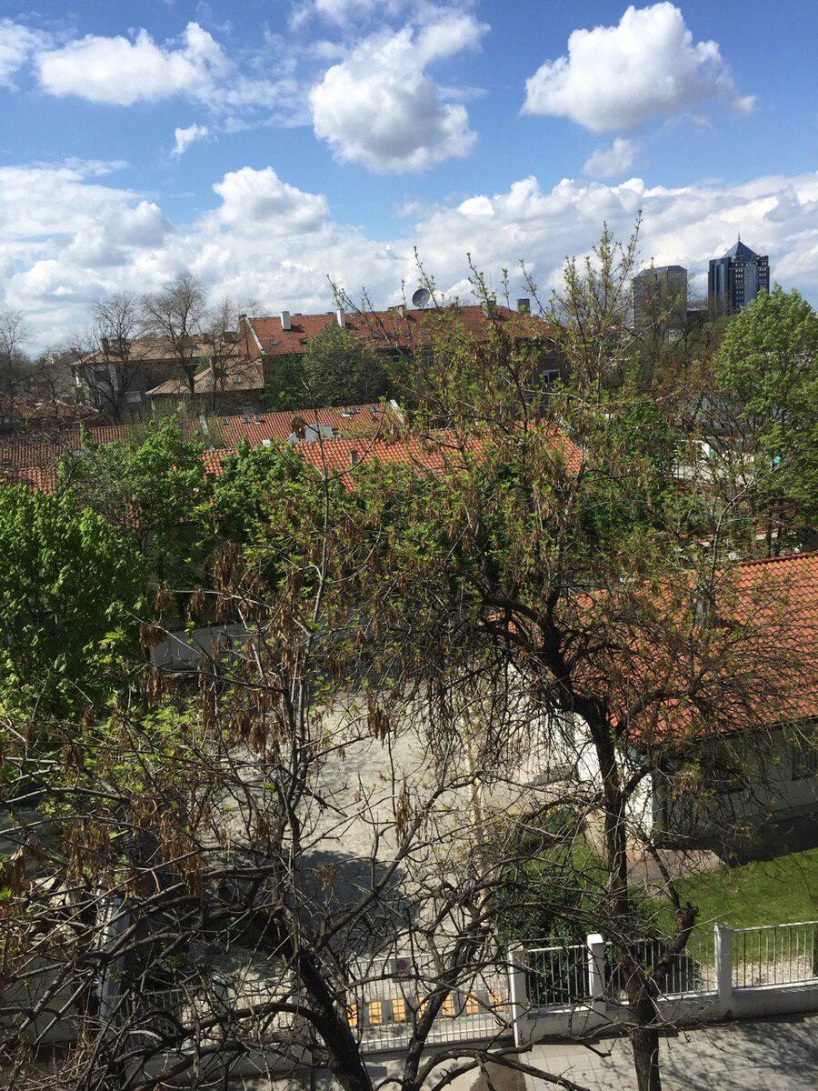 В городе Пловдив я провел пол года своей пока что молодой и непредсказуемой жизни. Вообще Болгария наверное самая родная страна для меня на данный момент, если естественно не считать мою красавицу родину. Хочу сказать сразу, что практически все своё время я проводил в центре города, и на окраину города я заглядывал редко. Если описать её кратко, то от наших окраин это ничем не отличается, серые панельки, пацаны в спортивках и молодые мамы с колясками.

Ну в общем, когда я говорю здесь о городе Пловдив, то имею в виду центр города, а не весь город в целом во избежания недопониманий того, почему я так сильно влюбился в этот город. 

Первое. Атмосфера. 

Человек социальное существо и впитывает общественное настроение, если одного глубоко не счастливого человека изолировать в компании девяти счастливых, то впоследствии он начнёт не произвольно копировать их поведение и повадки. Человек человеку зеркало. И буквально спустят некоторое время десятый глубоко несчастный человек станет одним из десяти счастливых. 

Все поймали раслабон. Раслабон от уверенности в завтрашнем дне, обеспеченности и защищённости. Таким людям незачем грустить или заставлять грустить других людей. Такие люди хотят жить и познавать мир. 

Второе. Достопримечательности. 

Я не скажу что их там огромное количество как например в Вене, но, конкретно лично для меня их было достаточно. Вокруг раскопанных руинов старого города кипела жизнь. Фрагменты старого, античного города находятся внутри нового города на них можно посмотреть или даже прикоснуться к ним. Лично мне это понравилось, в этом было что-то настоящее, я не чувствовал там туристической фальши как например в Антальи. Иногда каждого из людей пробивает на прогулки по старому городу или ещё что-то. 

Третье. Есть всё.
В принципе это особенность каждого из городов, но. Спрос на товары везде разный. 
Если в наших городах продают в основном закладки, то там продавали картины, дорогое вино, сувениры, крафтовое пиво и так далее. 

Даже есть у тебя нет денег, то ты всё равно впитываешь в себя всю эту атмосферу. 

Но были и минусы. 

Я далёк от расизма, нацизма или прочих глупостей. Очевидно что нет плохих национальностей, есть плохие люди и всех их стричь под одну гребёнку очевидно не стоит. Но я вам рассказываю, то что наблюдал именно я и слов из песни уже не выбросишь. 

Цигане. Они ведут себя как животные. Никто из них не хочет работать, всё что они делают это попрошайничают и воруют. Они ни уважают не себя не окружающих. 

Однажды я направлялся из города Пловдив на Солнечный берег и наблюдал такую ситуацию которой хочу с вами поделиться. 

Возле меня в конце автобуса сидела семейка циган, все они вели себя ужасно шумно и вызывающе.

Впереди автобуса сидели белые и наслаждались тишиной. 

Я не знаю на каком языке они разговаривали, но один момент из их диалога я точно запомнил. 

Дочь тянет матери пластиковый стаканчик от кофе и с каким-то мусором в нему. 

Мать сказала, что дочь идиотка и пусть выбросит это себе под ноги. Дочь выбрасывать. 

Под конец поездки за ними был настолько жестокий срач, что я (будь я представителем власти) посадил бы горе-мамку на пару суток посидеть за решетку и подумать о своём поведении или вовсе лишить её родительских прав хотя это не выход. 

И с цыганами так во всём и везде. Когда я слышал с балкона крики или конфликт, я был уверен на 95% что в этом замешаны цигане, а замешаны они были в этом по моим наблюдениям на 100%. 

Так вот о чем я. Не надо быть свиньями, вы люди. Относитесь к другим людям так как хотите, что бы относились к вам. 

Город Пловдив получает 7 провинциалов из 10. 

Хорошего настроения и добра. 

С уважением 

Коля Банди