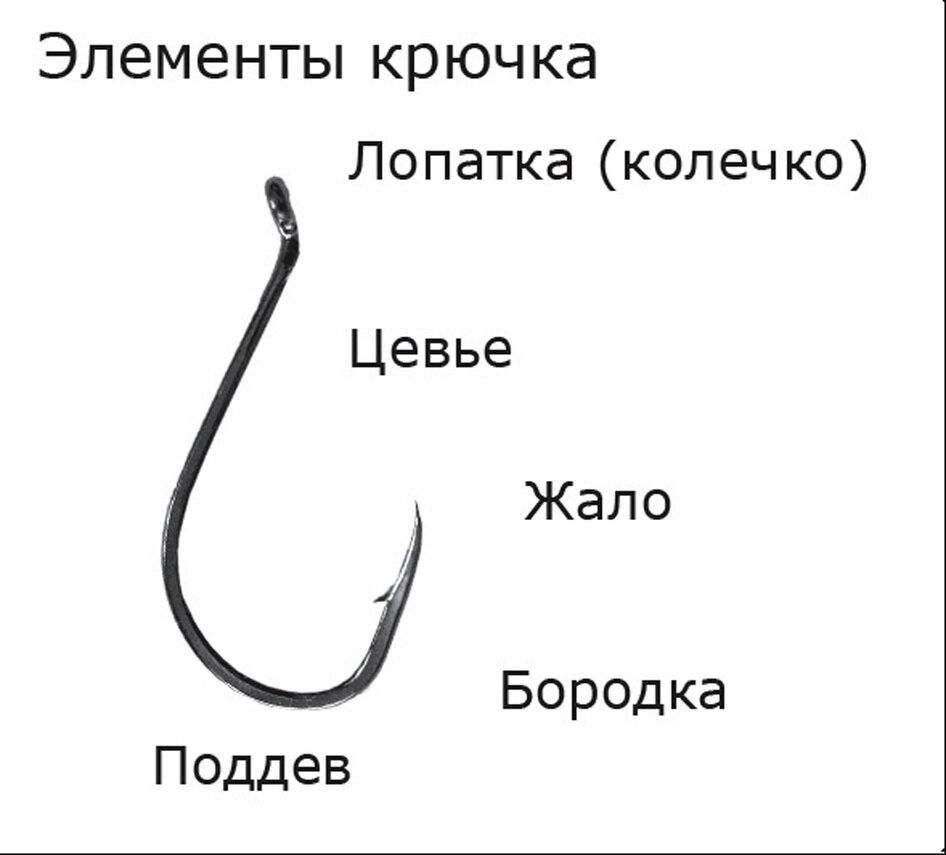 Строение крючка