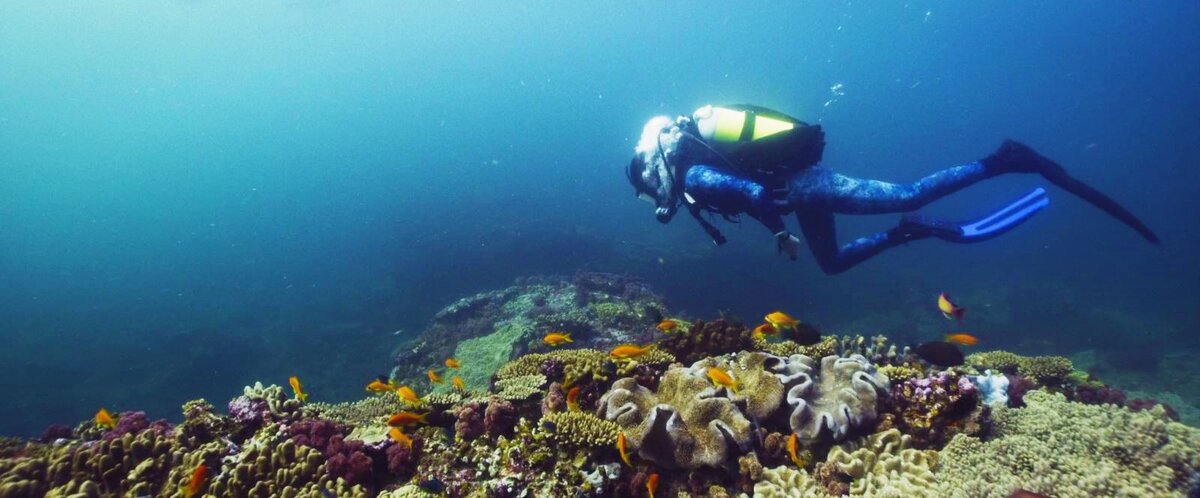 Умиротворяющие кадры во время изоляции. Кадр из к/ф «Глубокое синее море 3».