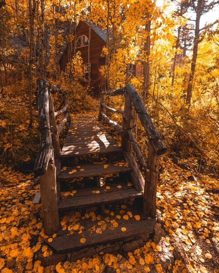 Мечта романтика