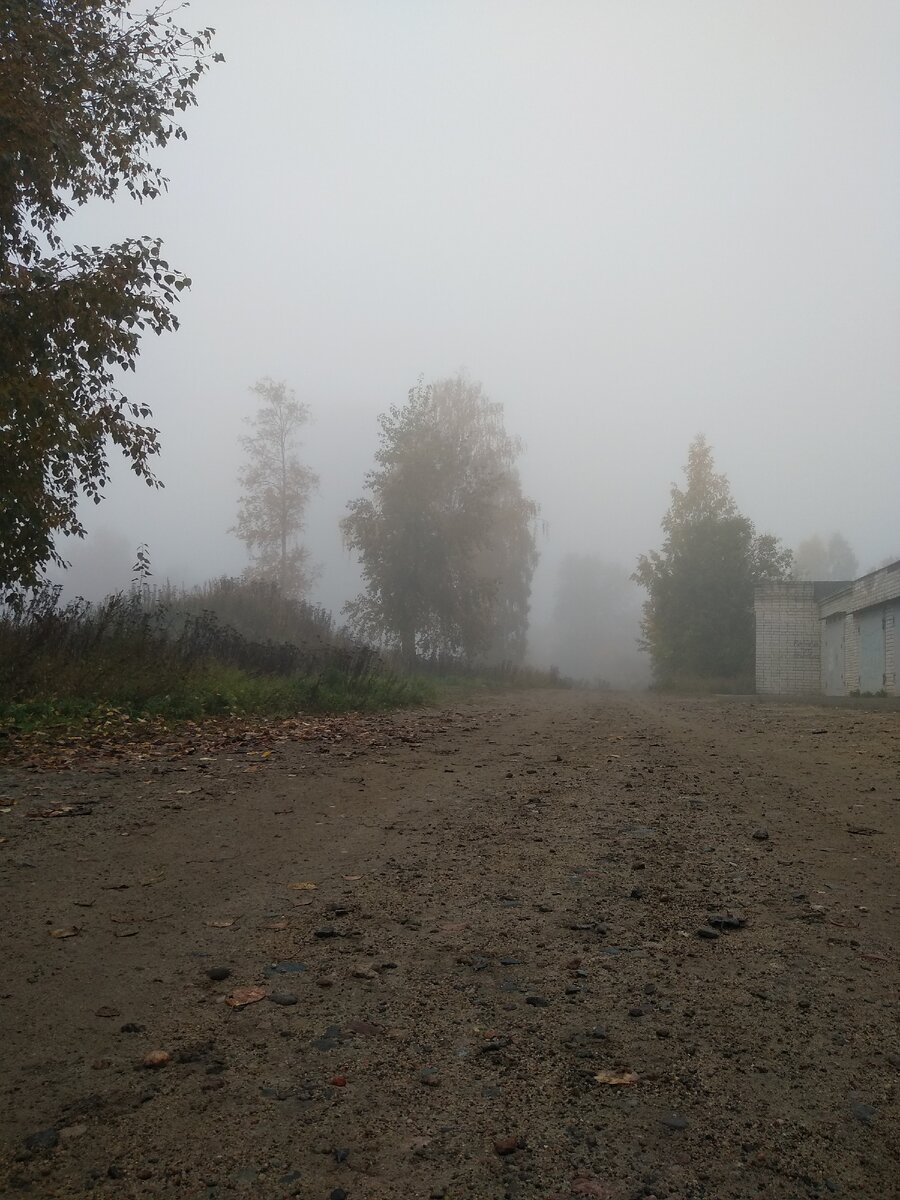 Туман — атмосферное явление, скопление воды в воздухе, образованное мельчайшими частичками водяного пара (при температуре воздуха выше −10 °C — капельки воды, от −10 до −15 °C — смесь капелек воды и кристалликов льда, при температуре ниже −15 °C — кристаллики льда.