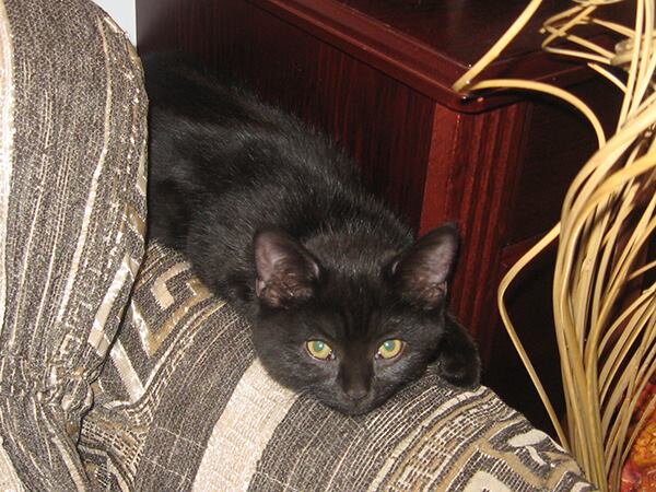 Мася в детстве