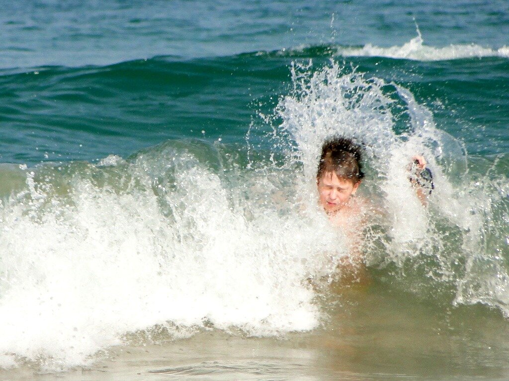 Иллюстрации из публичного доступа сети Интернет.