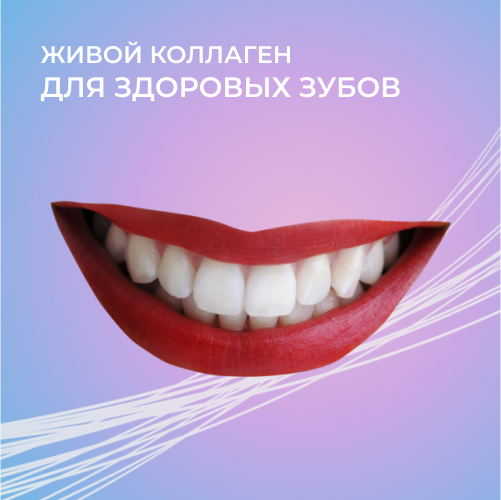Здоровые зубы и коллаген