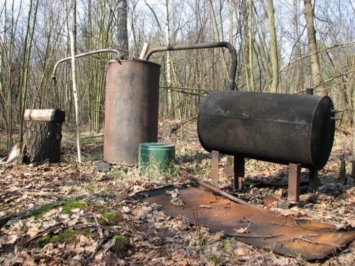 В темно-синем лесу... где трепещут чинары...