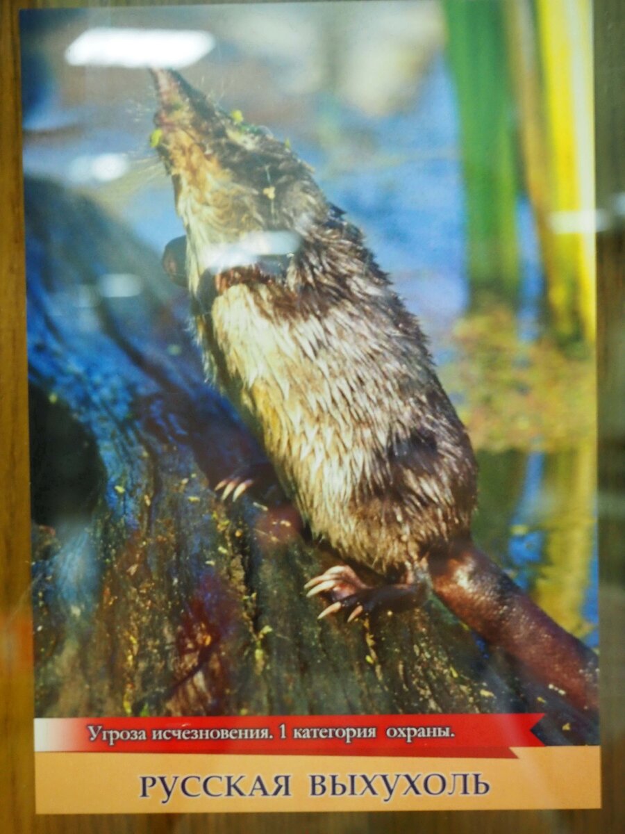 Фотография автора 2020